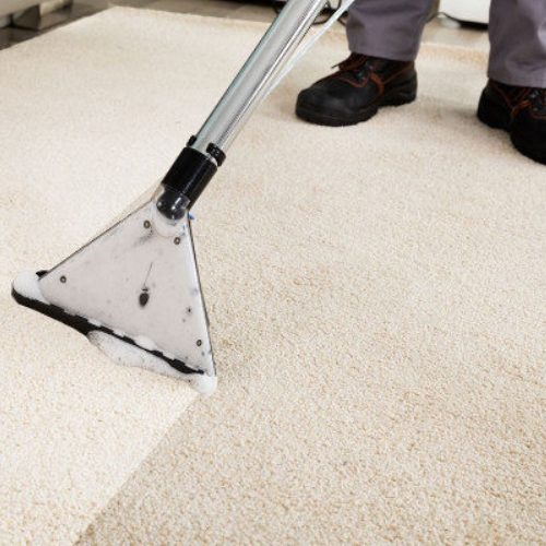 Carpet Cleaning Service Wilmington NC 14