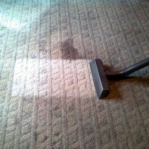 area rug cleaning in wilmington nc 19