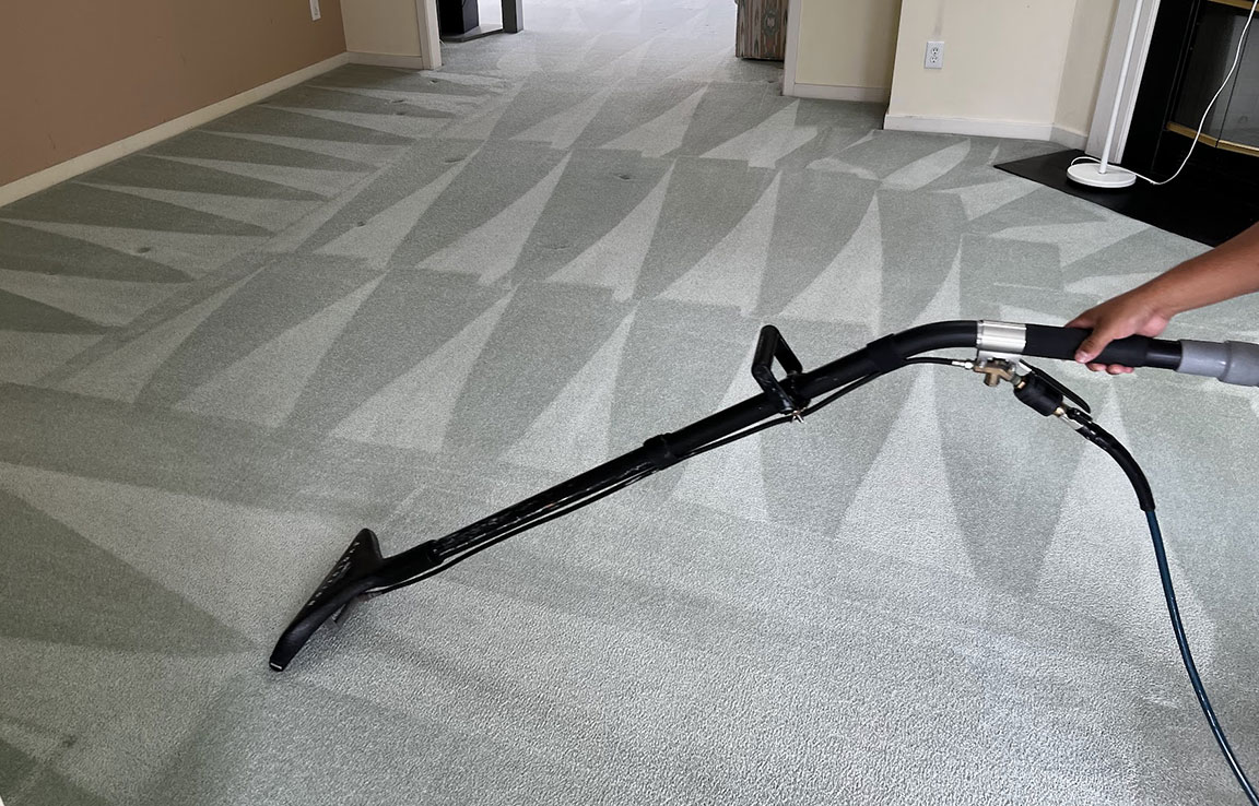 Carpet Cleaning Company in Wilmington NC 02